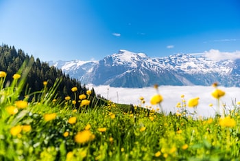 hotel regina titlis a trademark collection by wyndham