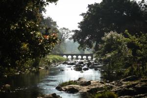 agraharam resort