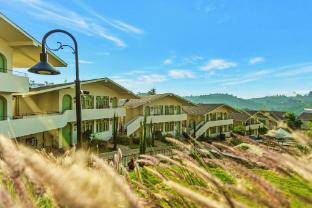 mango hill shola ooty