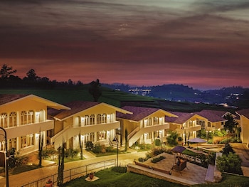 mango hill shola ooty