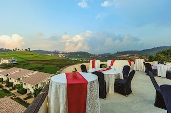 mango hill shola ooty