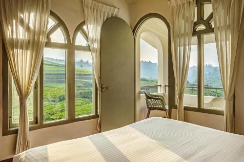 mango hill shola ooty