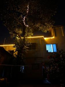 raj andar guest house