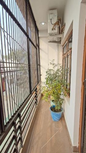 saanchi villa 500 mt from ram mandir