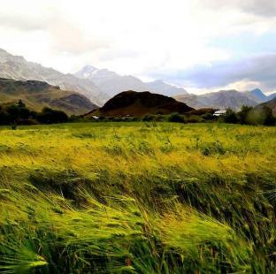 d royal ladakh hotel and restaurant