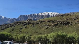d royal ladakh hotel and restaurant