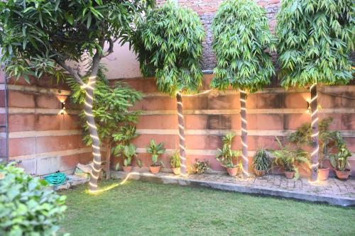 vanika homestay