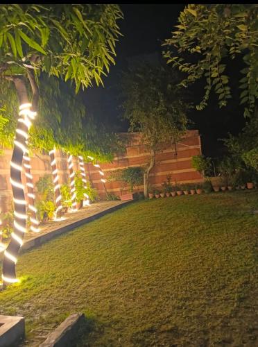 vanika homestay