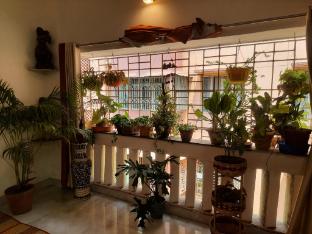 perfect for homely atmosphere