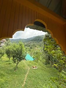 the rustic jibhi backpackers hostel