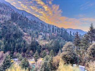 the rustic jibhi backpackers hostel