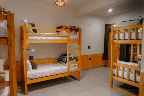 the rustic jibhi backpackers hostel