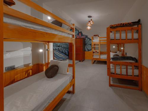the rustic jibhi backpackers hostel