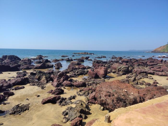 shree sai beach stay