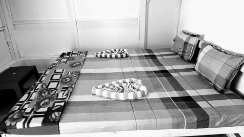 shree sai beach stay
