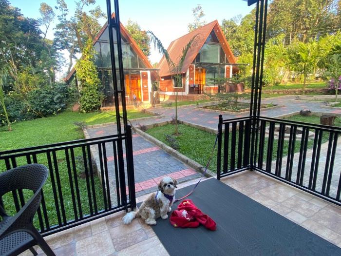 wisteria coorg nature stay
