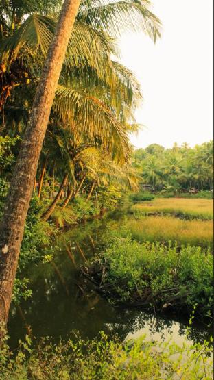 india yoga village