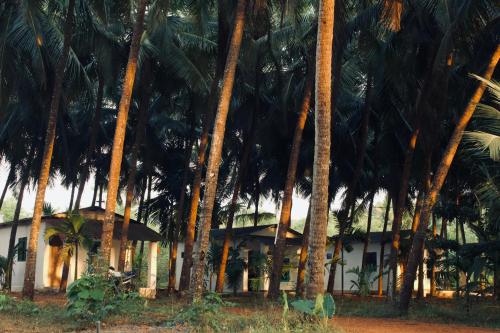 india yoga village
