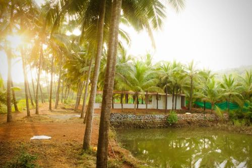 India Yoga Village,,3 star