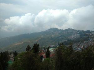 darjeeling