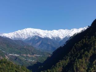 sarvaheet