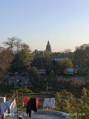 shahi house