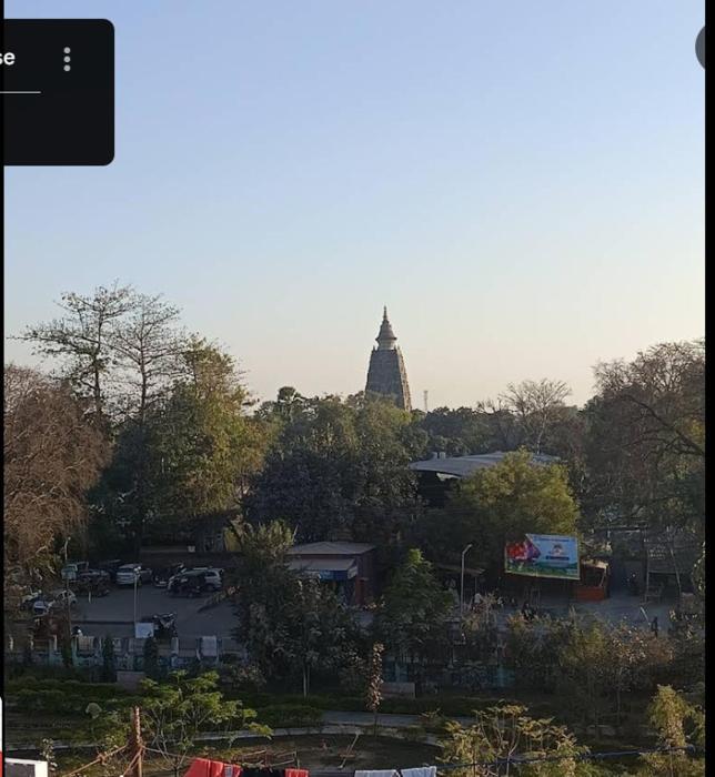 shahi house