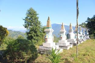 silent echo farmstay
