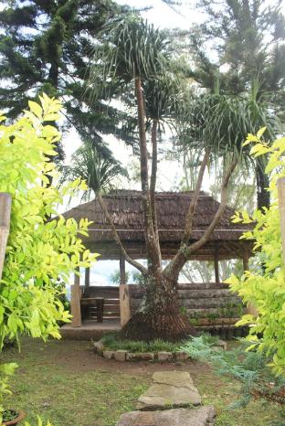 silent echo farmstay