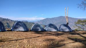 silent echo farmstay