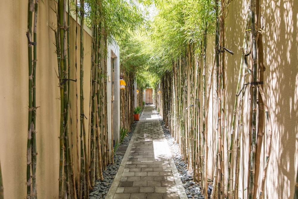 beautiful bali villas