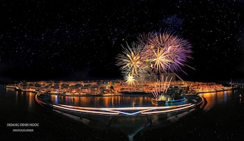 skywave apartment firework delight