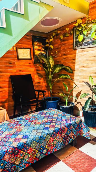 the little house