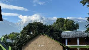 chaaya a blissbnest homestay