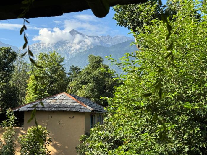 chaaya a blissbnest homestay