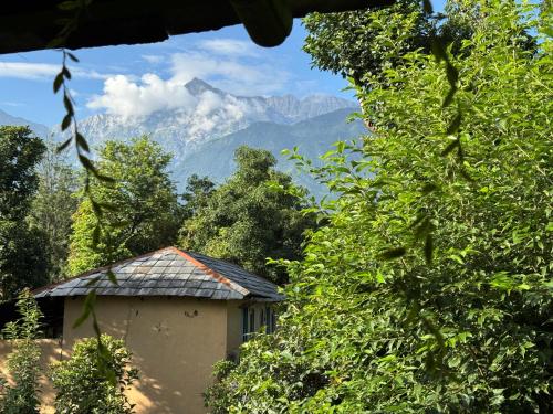 chaaya a blissbnest homestay