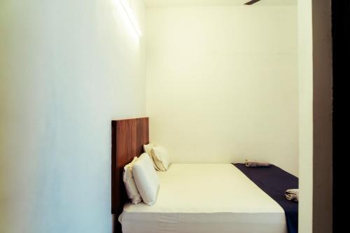 kuma surf house