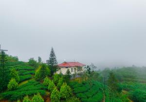 aruvi vagamon by voye homes
