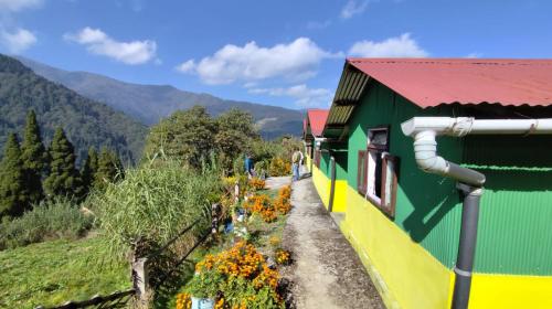 chamu tea garden