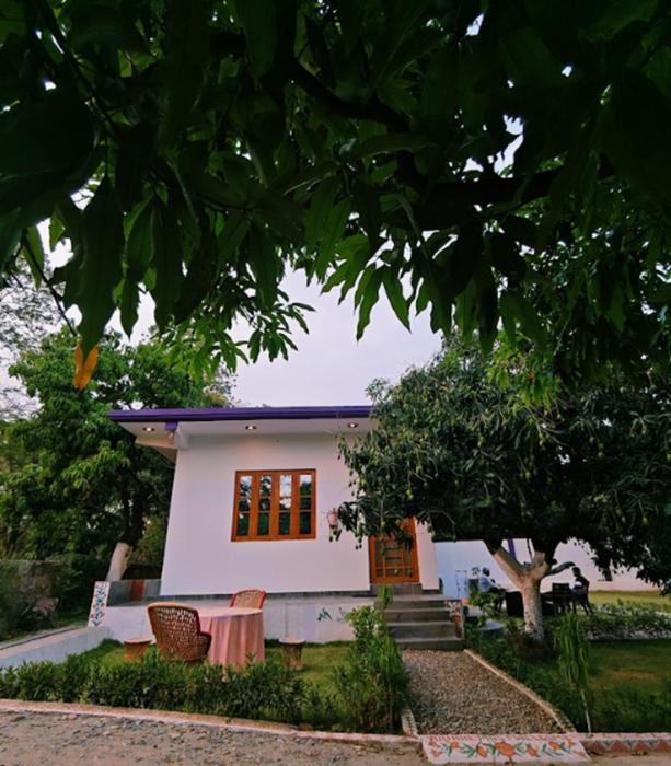 the green magpie homestay by stayapart