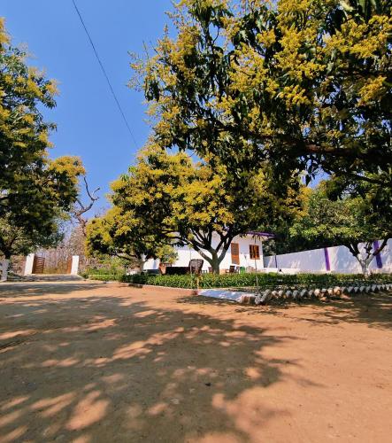 the green magpie homestay by stayapart