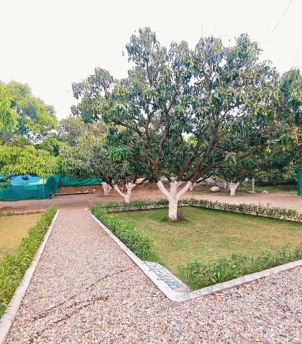 the green magpie homestay by stayapart