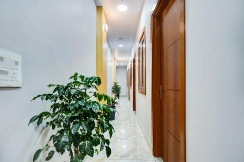 hotel o pankh