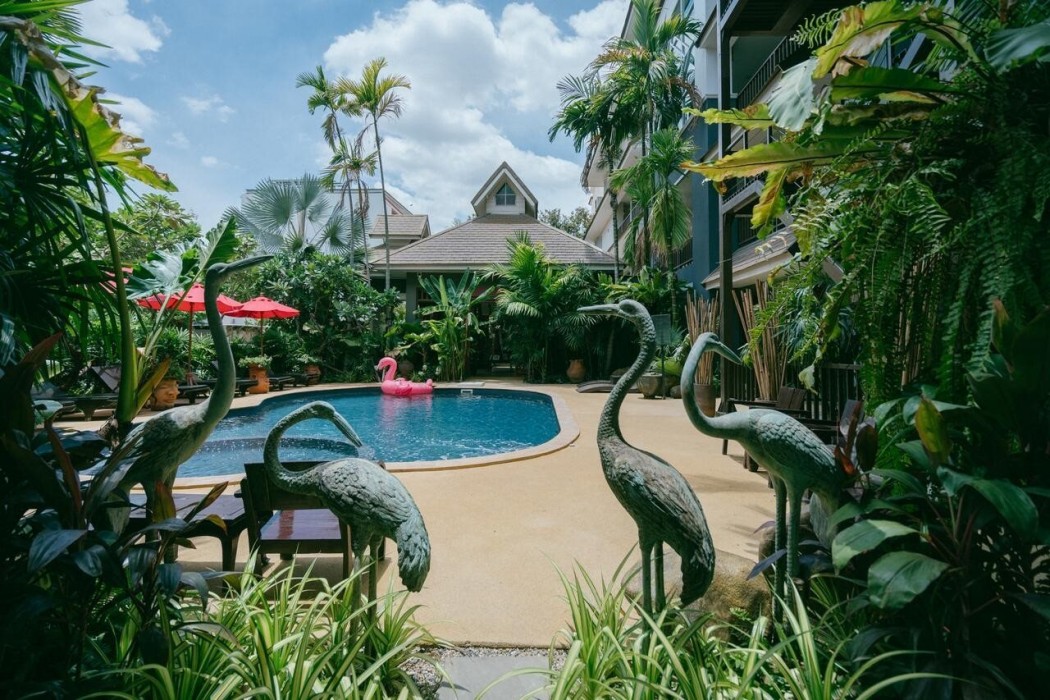 the opium chiang mai