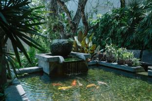 the opium chiang mai