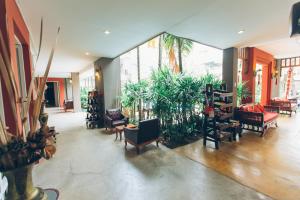 the opium chiang mai