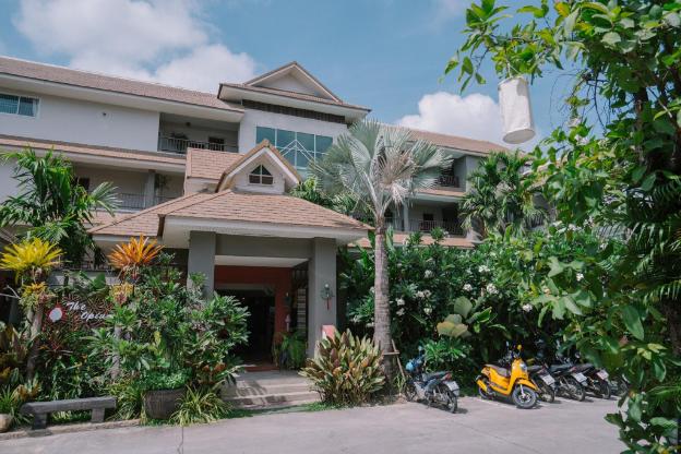 the opium chiang mai