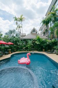 the opium chiang mai