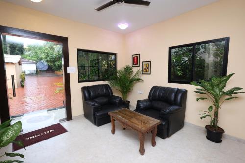 casa de olive