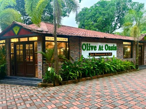 casa de olive